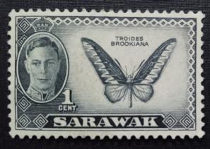 Sarawak - 1950 - Local Motifs, 1v Gum Washout Mints