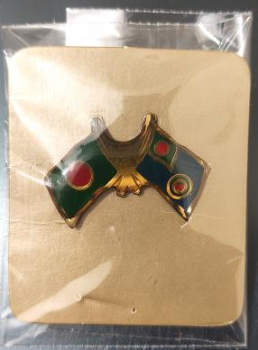 Bangladesh & Bangladesh Air Force Pin Badge - New